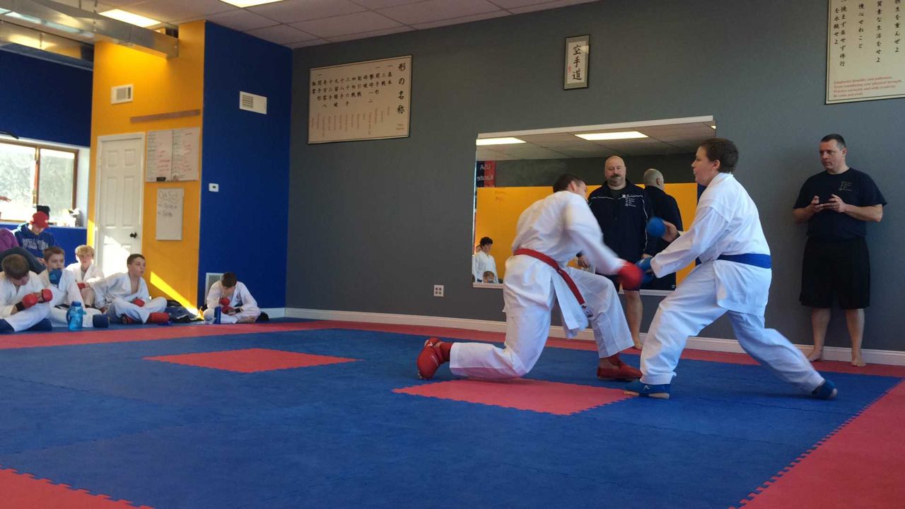 Partner training on the dojo mat