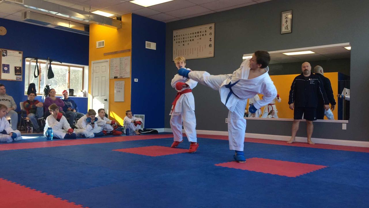 Karate kick into a training pad